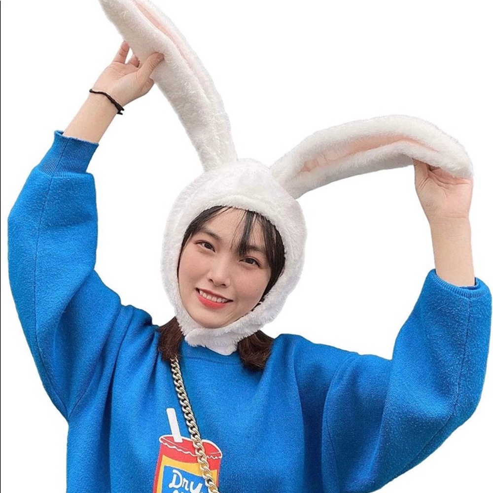 Bunny hat ears